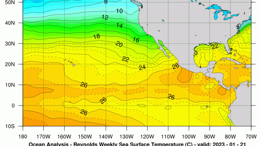 Current Sea Surface Temperature Analysis Graphic