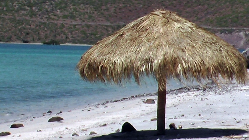 Beach Palapa