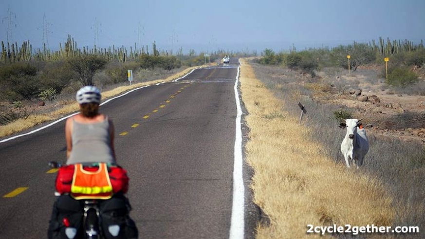 The long straight road to Ciudad Insurgentes