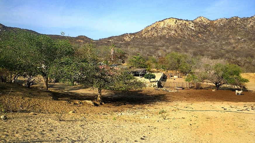 Secluded rancho in a green arroyo north of Cabo San Lucas