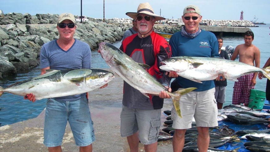 Catches at Isla Cedros rival those of Californian waters decades ago