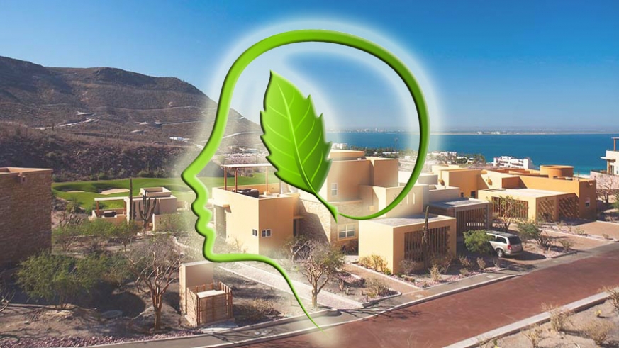 Living green in Baja