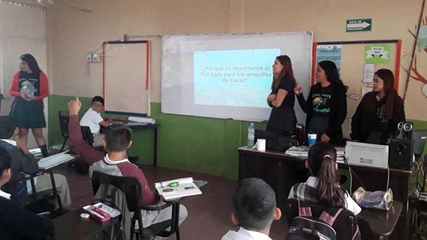 Students make presentations to other students, on the importance of parrotfish conservation