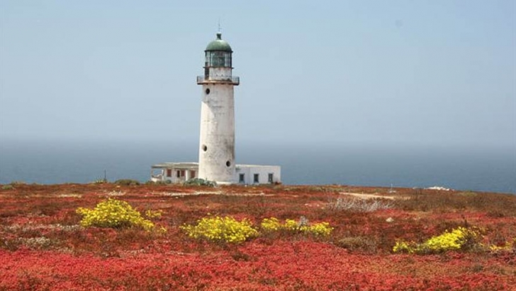 Lighthouse on Isla Cedros 